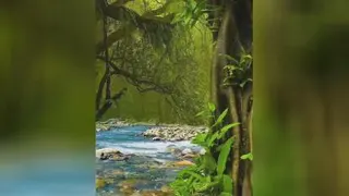 طبیعت زیبا