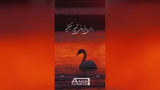 قُو پرنده خاص و عجیب