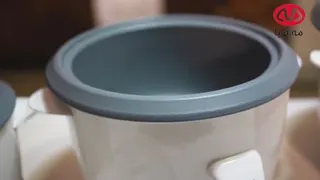 پلوپز تایمردار و دیجیتال مه پویا