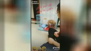 سگ گوگولی
