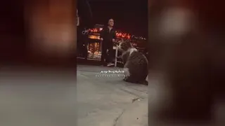 بدون شرح
