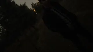 تحلیل سهم فملی