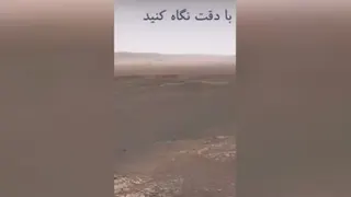 سرگرمی