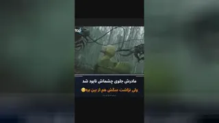 فیلم