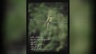 خسته از لفظ خسته