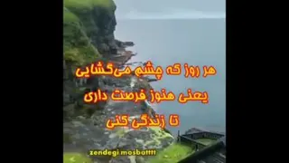 شکرگزاری