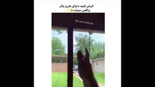 فرض کنید دنیای هری پاتر واقعی میشد⚡