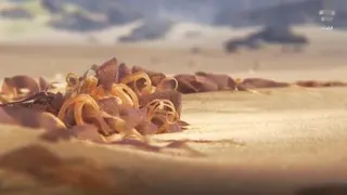 زندگی حیوانات