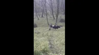 خدا طبیعت زیبایی🌺😍