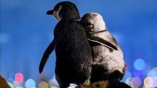 عاشقانه