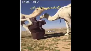 طنز