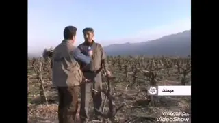 کشاورز نمونه