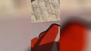 Art 🎨