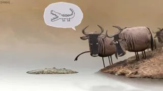 انیمیشن کوتاه گوزن Wildebeest animation