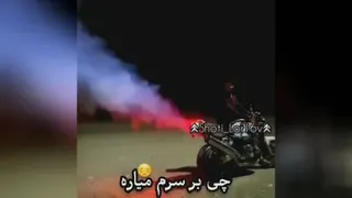 یار دل نداره