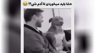 عجب سگی بود 😂