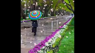 استاد شجریان