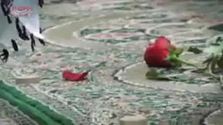 گل دادن فرزند شهید مدافع حرم به سردار سلیمانی