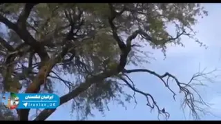 همین الان حرکت کن!