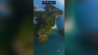 تلاوت