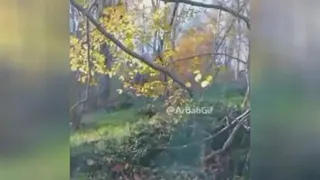 صبحتون شاد