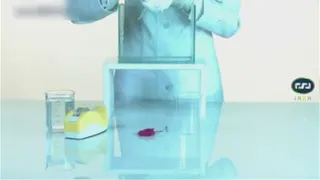 آزمایش