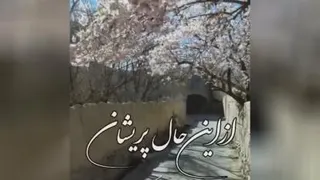 آهنگ راغب