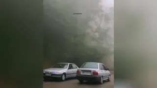 ایرانگردی