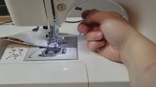 بستن شال برای حیوان خانگی