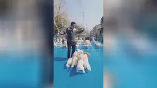 ورزش صبح گاهی