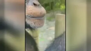 علی ظهرابی 😂