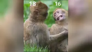 اینستاگرام الان
