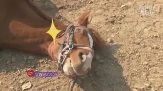 خنده دار