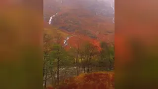 طبیعت