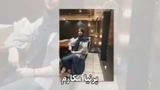 برترین های سازمان جهانی شیردال