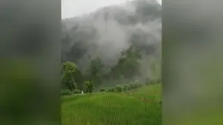 طبیعت سبز