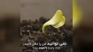 در هر شرایطی برمیخیزم