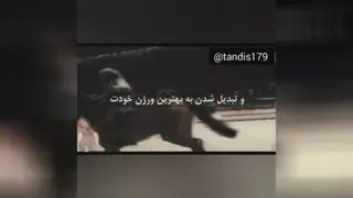 کلیپ انگیزشی