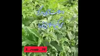 زندگی مثبت