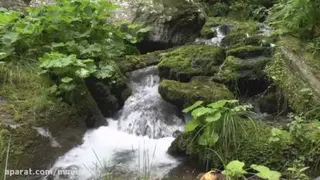 طبیعت زیبا با صدای چشمه