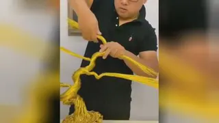 ساخت بنسای با سیم