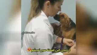 عشق واقعی