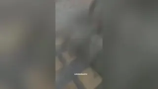 گرفتن تایم