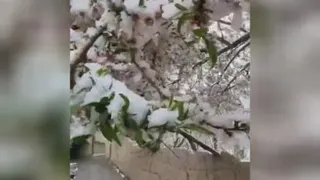 تبریک عید 1400