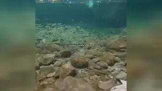 انگیزشی