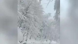 ای کاش@@علی رصا افتخاری گوش