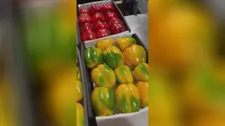 رنگارنگ