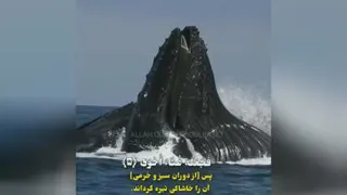 دبستان دخترانه شهید سامانی پور- خلقت