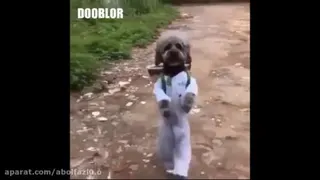 مردم ایران