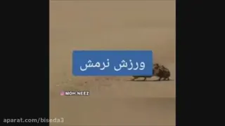 دوبله حیوانات